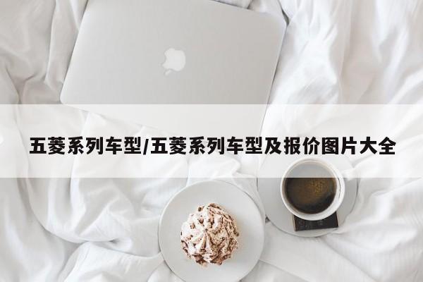五菱系列车型/五菱系列车型及报价图片大全