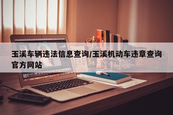 玉溪车辆违法信息查询/玉溪机动车违章查询官方网站