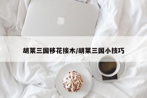 胡莱三国移花接木/胡莱三国小技巧