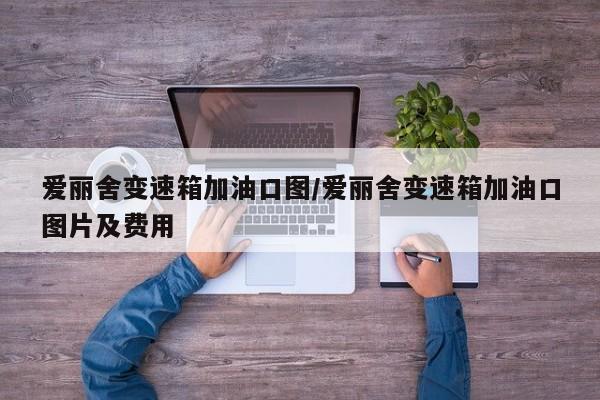 爱丽舍变速箱加油口图/爱丽舍变速箱加油口图片及费用
