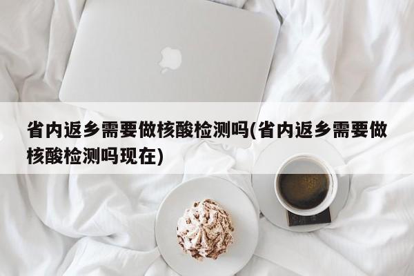 省内返乡需要做核酸检测吗(省内返乡需要做核酸检测吗现在)