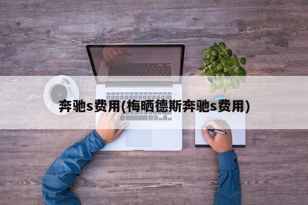奔驰s费用(梅晒德斯奔驰s费用)