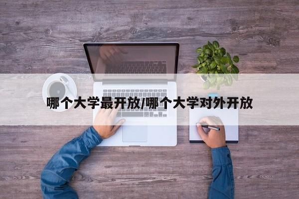 哪个大学最开放/哪个大学对外开放