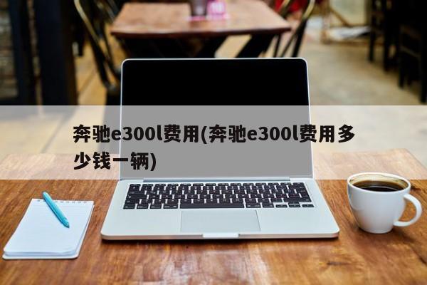 奔驰e300l费用(奔驰e300l费用多少钱一辆)