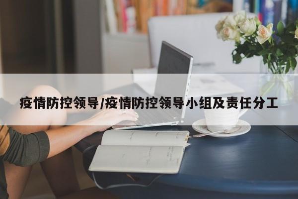 疫情防控领导/疫情防控领导小组及责任分工