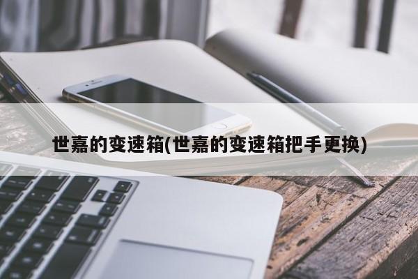 世嘉的变速箱(世嘉的变速箱把手更换)