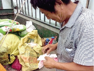 数字支付的魔法花园